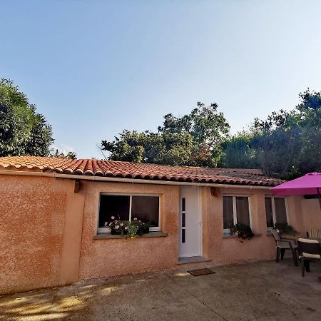 Maison De Village Proche Commodites Murato Zewnętrze zdjęcie